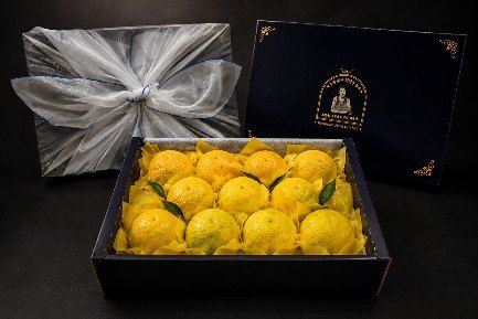 황금향 3KG (9과 내외)